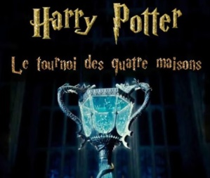 Une émission Harry Potter arrive sur TF1 Une émission Harry Potter arrive sur TF1