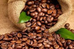 À quoi ressemblera votre tasse de café en 2030 ? À quoi ressemblera votre tasse de café en 2030 ?