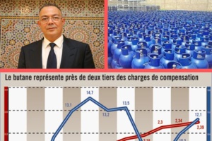 Subvention du gaz butane ou octroi des aides directes ! Subvention du gaz butane ou octroi des aides directes !