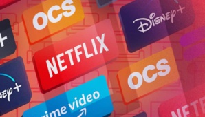 Deux frères inventent une plateforme qui permet de payer Netflix deux fois moins cher 