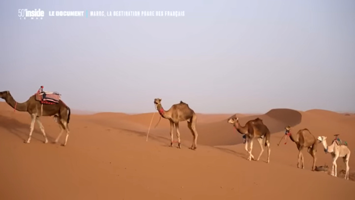 50 minutes inside - Le Maroc sublimé sur la chaîne TF1 50 minutes inside - Le Maroc sublimé sur la chaîne TF1