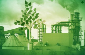 Qu’est-ce que le greenwashing ? Qu’est-ce que le greenwashing ?