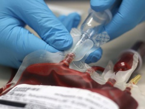 Du sang synthétique transfusé pour la première fois à des humains
