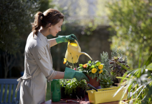 Les astuces pour protéger vos plantes du froid Les astuces pour protéger vos plantes du froid