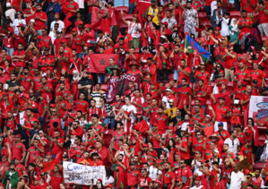 Des supporters marocain nettoient le stade après le match contre la Croatie Des supporters marocain nettoient le stade après le match contre la Croatie