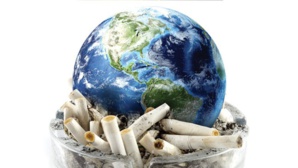 La cigarette tue … l’environnement