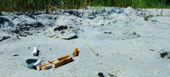 La cigarette tue … l’environnement La cigarette tue … l’environnement