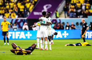 Mondial 2022 : Le Sénégal bat l'Equateur et se qualifie pour les 8e de finale Mondial 2022 : Le Sénégal bat l'Equateur et se qualifie pour les 8e de finale