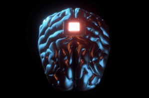 Neuralink : les implants cérébraux testés sur les humains d’ici six mois selon Elon Musk