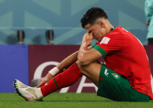 Mondial 2022 : Les Lions blessés passent une série de tests Mondial 2022 : Les Lions blessés passent une série de tests
