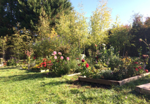 Des cercueils naturels pour une planète plus écologique Des cercueils naturels pour une planète plus écologique