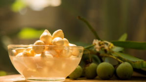 L’huile de calophylle, un trésor pour la peau L’huile de calophylle, un trésor pour la peau