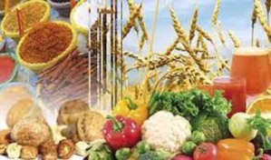 L’inflation combinée à l’appréciation du dollar gonfle la facture d’importations de denrées alimentaires L’inflation combinée à l’appréciation du dollar gonfle la facture d’importations de denrées alimentaires