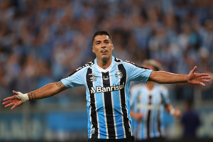 Brésil : Luis Suarez débute par un triplé avec Grêmio Brésil : Luis Suarez débute par un triplé avec Grêmio