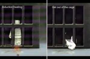 Ce robot arrive à passer de l’état solide à l’état liquide Ce robot arrive à passer de l’état solide à l’état liquide