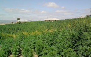 L'ANRAC lance une plateforme pour la demande des autorisations L'ANRAC lance une plateforme pour la demande des autorisations