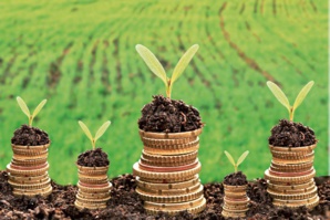 Le Maroc leader dans le financement climatique en Afrique du Nord Le Maroc leader dans le financement climatique en Afrique du Nord