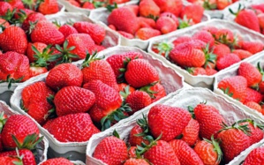 Cette erreur que l’on fait tous avec les fraises… et qui altère leur goût !