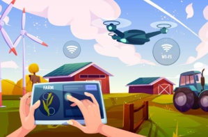 AgriTech : le numérique est dans le pré AgriTech : le numérique est dans le pré