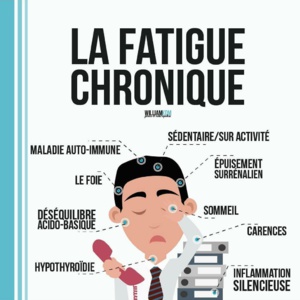 La fatigue chronique serait lié à un microbiote intestinal déficient ! La fatigue chronique serait lié à un microbiote intestinal déficient !