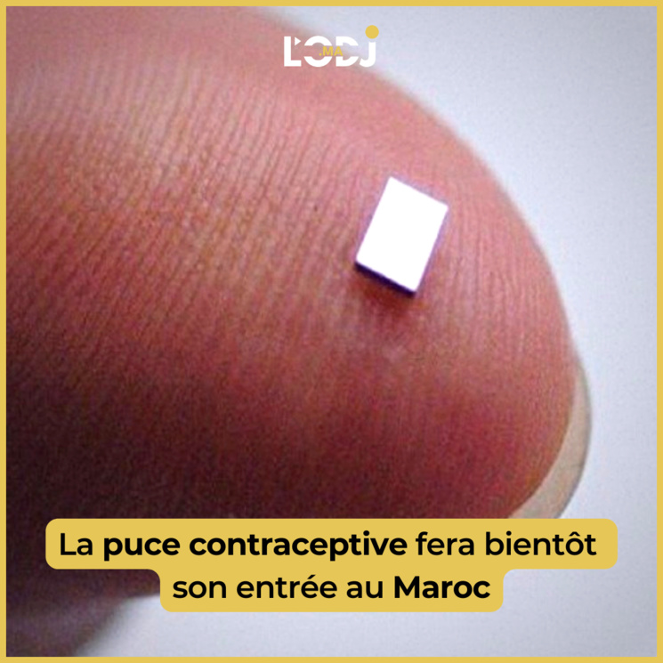 La puce contraceptive fera bientôt son entrée au Maroc La puce contraceptive fera bientôt son entrée au Maroc