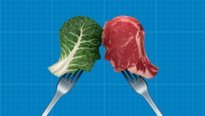 Les défis du végétalisme dans les pays en développement Les défis du végétalisme dans les pays en développement