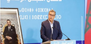 Le RNI, ou la politique Excel Le RNI, ou la politique Excel