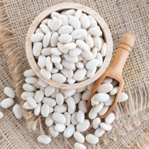 L'haricot plébiscité par l'ONU pour lutter contre le réchauffement climatique L'haricot plébiscité par l'ONU pour lutter contre le réchauffement climatique