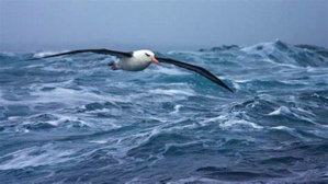 L'ambition de protéger d'ici 2030, 30 % des terres et des océans de la planète comme enjeu L'ambition de protéger d'ici 2030, 30 % des terres et des océans de la planète comme enjeu