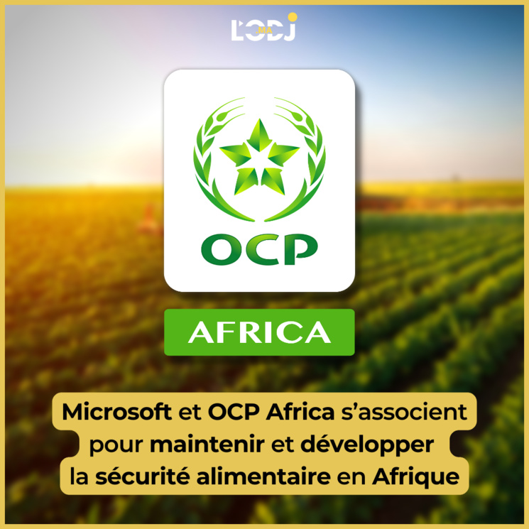 Microsoft et OCP Africa s’associent pour maintenir et développer la sécurité alimentaire en Afrique Microsoft et OCP Africa s’associent pour maintenir et développer la sécurité alimentaire en Afrique