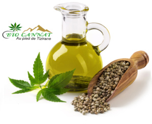 Bio Cannat achève les travaux de construction de la première usine de cannabis au Maroc Bio Cannat achève les travaux de construction de la première usine de cannabis au Maroc