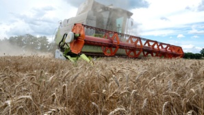 A la surprise générale, l’Egypte annonce son retrait de l’Accord international sur les céréales A la surprise générale, l’Egypte annonce son retrait de l’Accord international sur les céréales