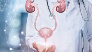 Destruction de la fonction rénale: Attention aux Calculs des voies urinaires Destruction de la fonction rénale: Attention aux Calculs des voies urinaires