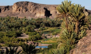 Des oasis cachées : explorer les vallées verdoyantes de la région de Draa Des oasis cachées : explorer les vallées verdoyantes de la région de Draa