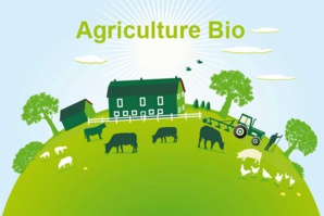 L'agriculture biologique : un bilan des avantages et des défis
