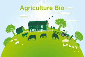 L'agriculture biologique : un bilan des avantages et des défis L'agriculture biologique : un bilan des avantages et des défis