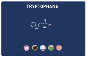 Le nutriment de la bonne humeur : Tryptophane et sérotonine Le nutriment de la bonne humeur : Tryptophane et sérotonine