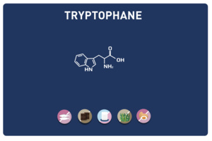 Le nutriment de la bonne humeur : Tryptophane et sérotonine