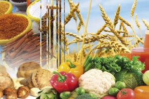 Pressions sur l’offre de denrées alimentaires : ce que dévoilent les chiffres à l’export Pressions sur l’offre de denrées alimentaires : ce que dévoilent les chiffres à l’export