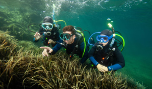 El Hoceima, entre plages de rêve et montagnes majestueuses El Hoceima, entre plages de rêve et montagnes majestueuses