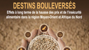 Destins bouleversés : effets à long terme de la hausse des prix et de l’insécurité alimentaire dans la région moyen-orient et afrique du nord Destins bouleversés : effets à long terme de la hausse des prix et de l’insécurité alimentaire dans la région moyen-orient et afrique du nord