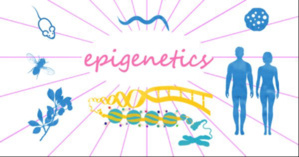 MOOC : Epigenetics
