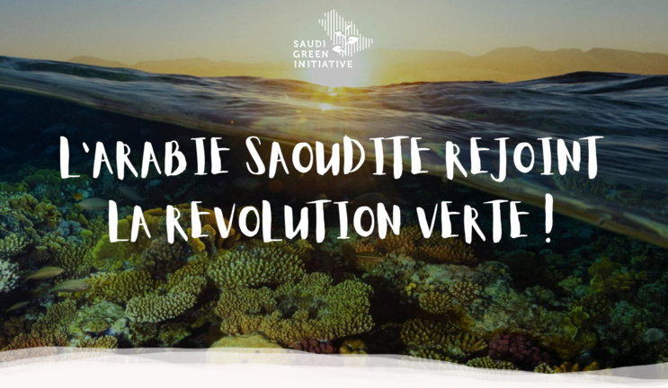 L'Arabie Saoudite a réussi son plan vert L'Arabie Saoudite a réussi son plan vert