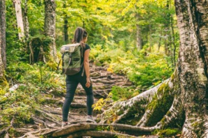 Quels sont les bienfaits des "bains de forêt" ? Quels sont les bienfaits des "bains de forêt" ?