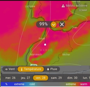 Canicule : les causes, les impacts et les liens avec les changements climatiques Canicule : les causes, les impacts et les liens avec les changements climatiques