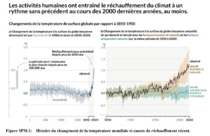 Canicule : les causes, les impacts et les liens avec les changements climatiques Canicule : les causes, les impacts et les liens avec les changements climatiques
