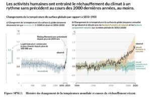 Canicule : les causes, les impacts et les liens avec les changements climatiques