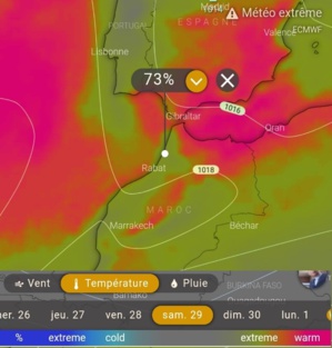 Canicule : les causes, les impacts et les liens avec les changements climatiques Canicule : les causes, les impacts et les liens avec les changements climatiques