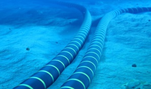 Projet Xlinks Maroc/Royaume-Uni : l'argent arrive Projet Xlinks Maroc/Royaume-Uni : l'argent arrive