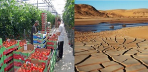 Le fellah était défenseur du trône… aujourd’hui, c’est l’inverse